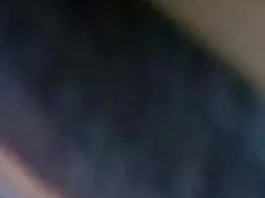 गोर भू सेक्सी मूवी ह ...
