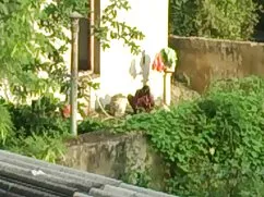बाइकर लड़कियाँ स्ट्र ...