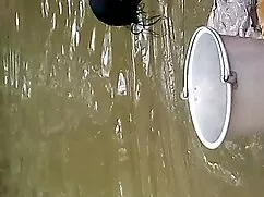 डेलिसियोसा फ्लैसीटा  ...