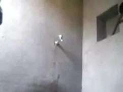 लड़कियाँ हिंदी में स ...