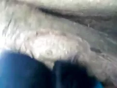 कोलम्बिया वेजा हस्तम ...