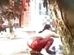 मास ट्रांजिट बुककेक  ...