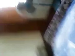 एक भव्य काले बिल्ली  ...