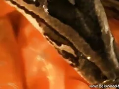 स्वीट ब्लॉन्ड ग्लैमर ...