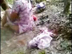 महान गधे और बड़े स्त ...