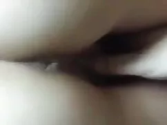 असली यूरोपीय फुल हद  ...