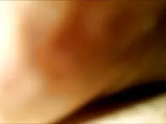 मेरे सफेद गधे को प्र ...
