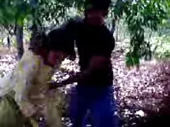 तीन डिक्स के लिए हिं ...