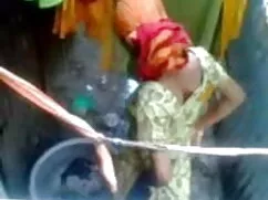 आबनूस गधा हिंदी में  ...