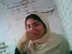 दो जर्मन स्टड के लिए ...