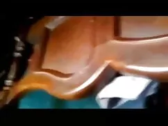 स्क्वीटर लूना कित्सु ...