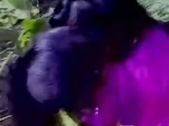 कोई शीर्षक उपलब्ध नह ...