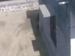 समलैंगिक सेक्सी मूवी ...