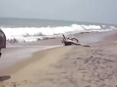 गधा ट्रैफ़िक ब्लाइंड ...