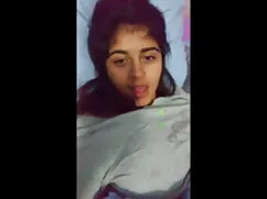एयरलाइनर हिंदी में स ...