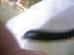 कैटी पेरी कैलिफोर्नि ...
