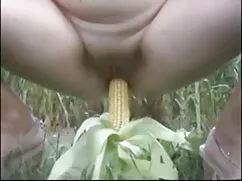 फ़िकेन इम फ्रेयन हिं ...