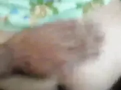 वेबकैम लड़की सेक्सी  ...